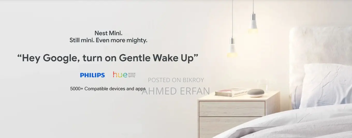 Google Nest Mini (2nd Generation)