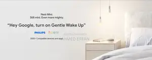 Google Nest Mini (2nd Generation)