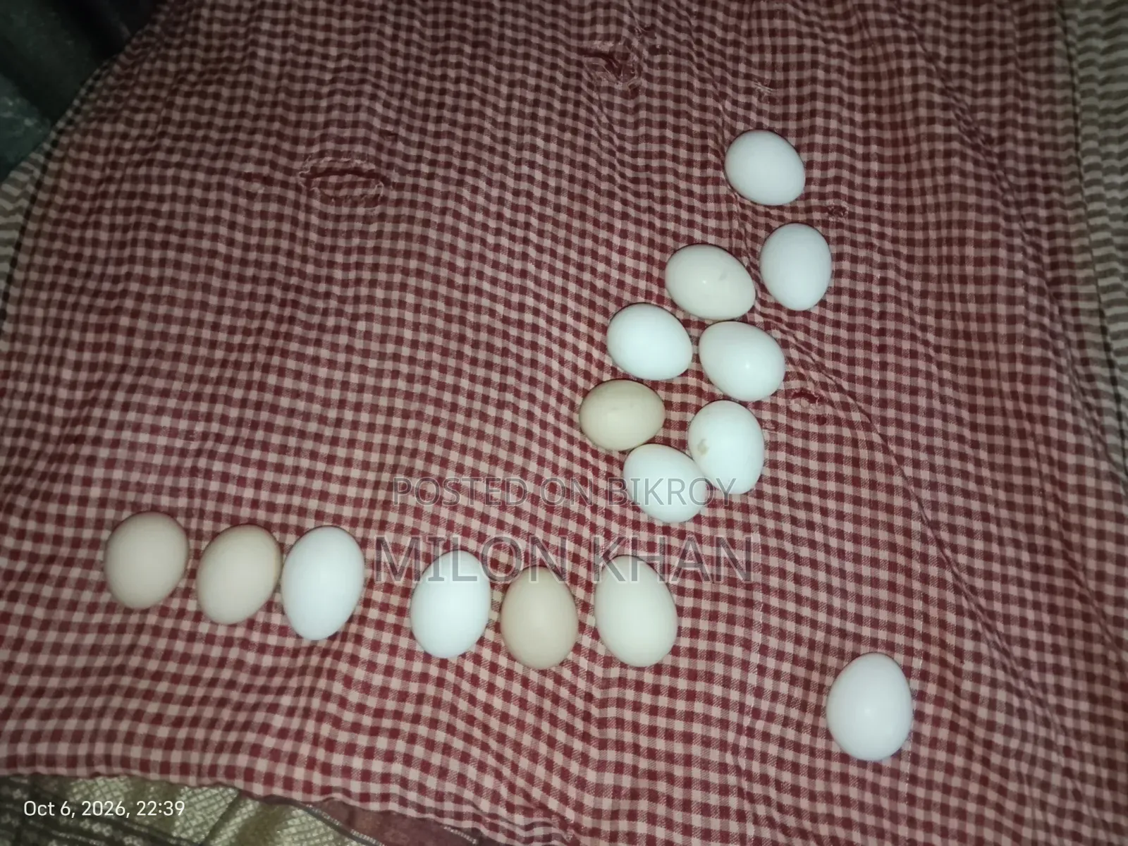 দেশী মুরগীর বীজ ডিম