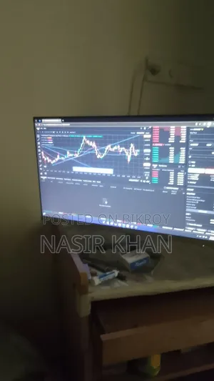 HP Monitor