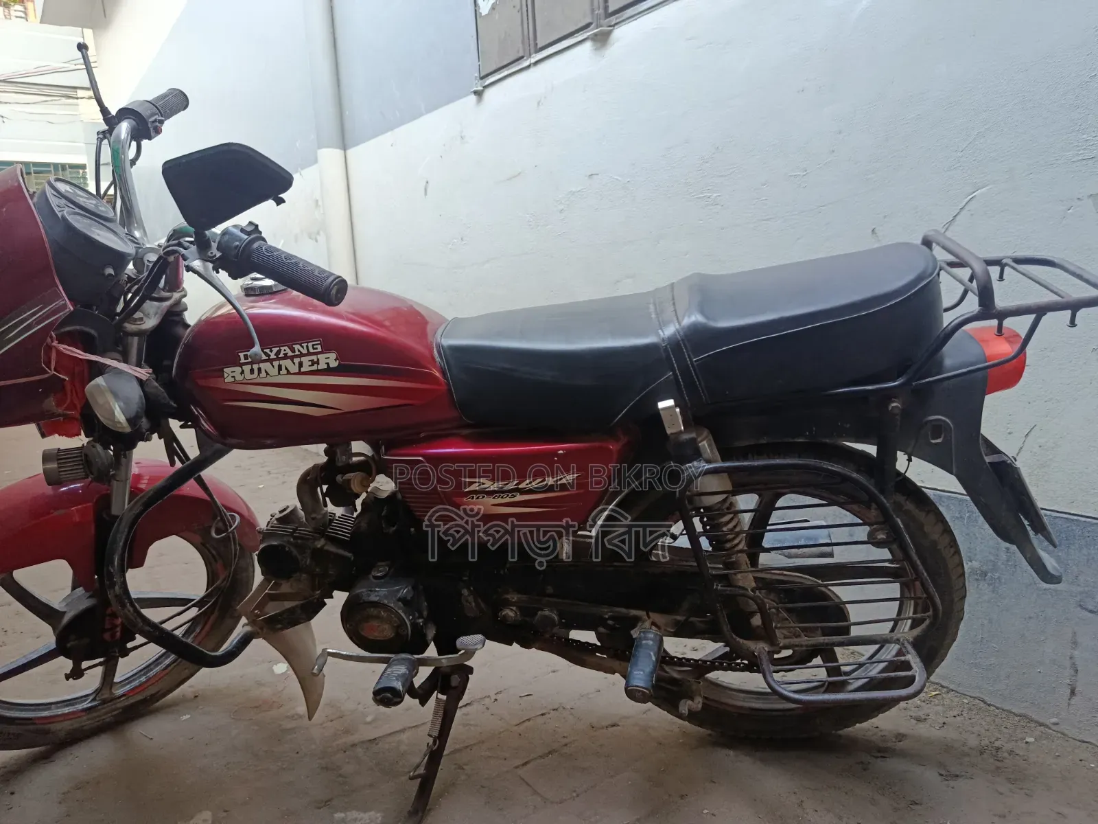 রানার এডি ৮০এস অ্যালয় ২০২২ লাল