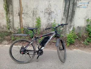 Electric Cycle