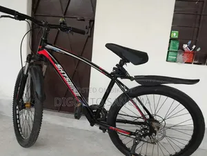 Cycle Skybike Brand