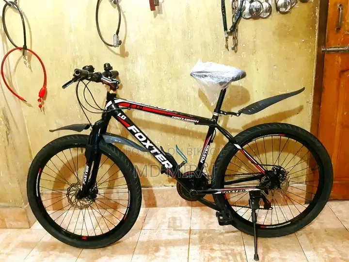 Foxter 1.0 Full Fresh Bicycle Sale Post