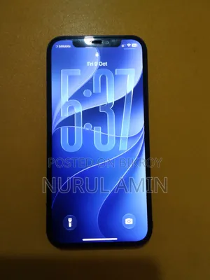 অ্যাপল আইফোন ১২ ৬৪ জিবি ব্লু