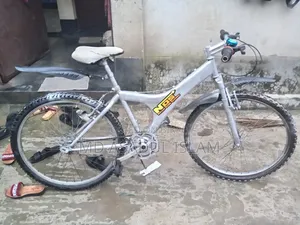 Old Bicycle