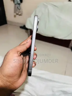 অ্যাপল আইফোন ১৫ প্রো ম্যাক্স ২৫৬ জিবি সিলভার