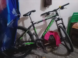 Phoenix Argus 26" Bicycle