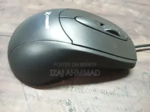 Computer Mouse