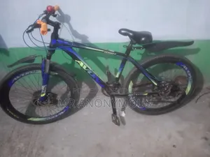 Avon Gear Bicycle