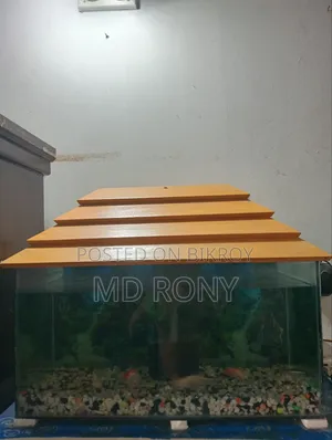 Fish Aquarium Full Setup
