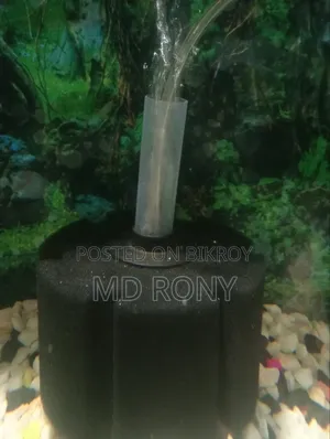 Fish Aquarium Full Setup