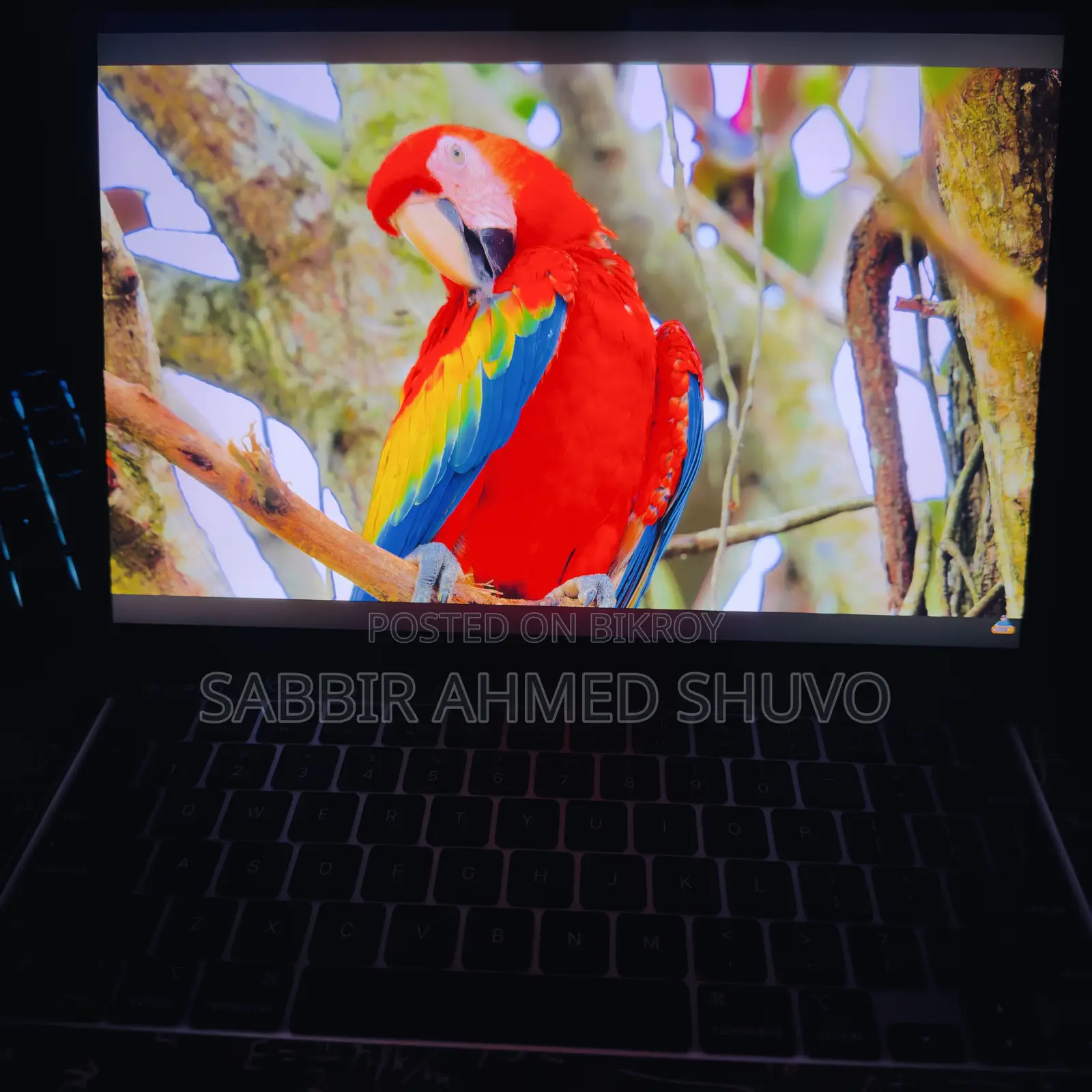 Laptop Apple MacBook Air 2024 M3 8GB Apple M3 SSD 256GB