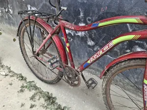 Prince Cycle for Sale