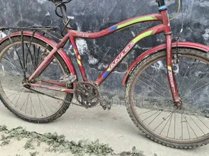 Prince Cycle for Sale