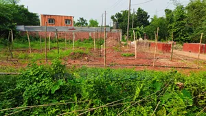 দক্ষিণ পূর্ব কর্নার  ৭.৫ কাঠা প্লট বিক্রি করা হবে
