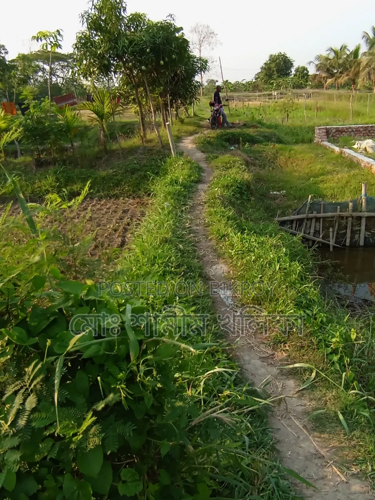 জরুরী ভিত্তিতে আকর্ষণীয় মূল্যে ৪ শতাংশ জমি বিক্রি হইবে