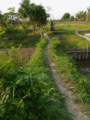 4 Shotok Land For Sale Urgently at Attractive Price