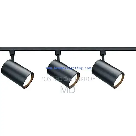 There is 1 truck light available at 500 each