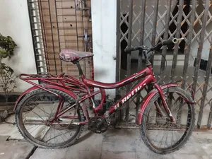 Non-Gear Bicycle