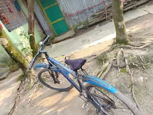 Cycle for Sale