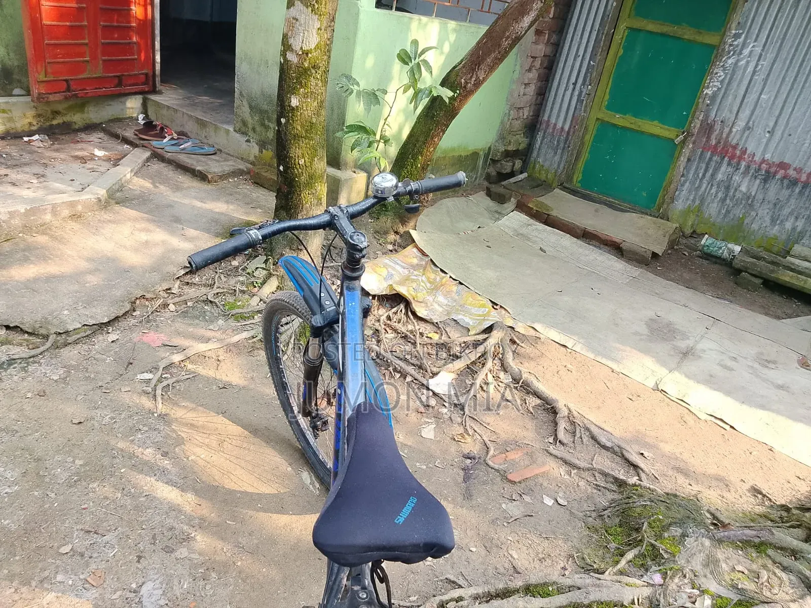 Cycle for Sale