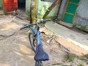 Cycle for Sale
