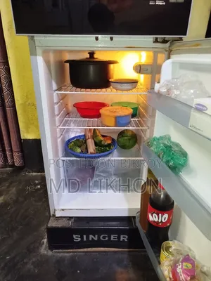 Singer Model Dd