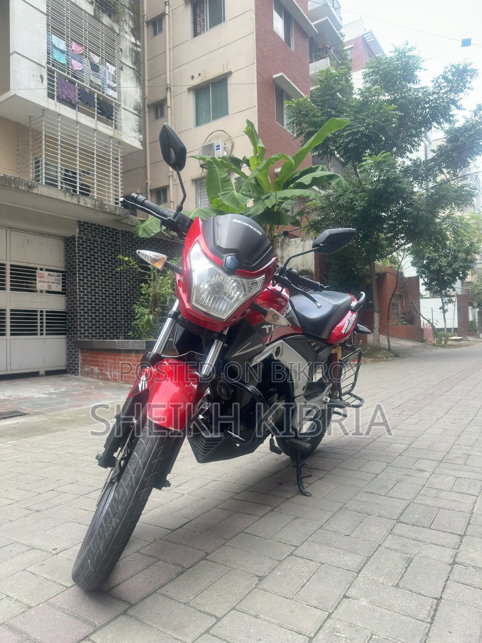 Runner Turbo V2 2022 Red