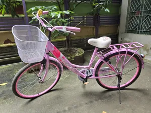 24 Inch Girls Cycle