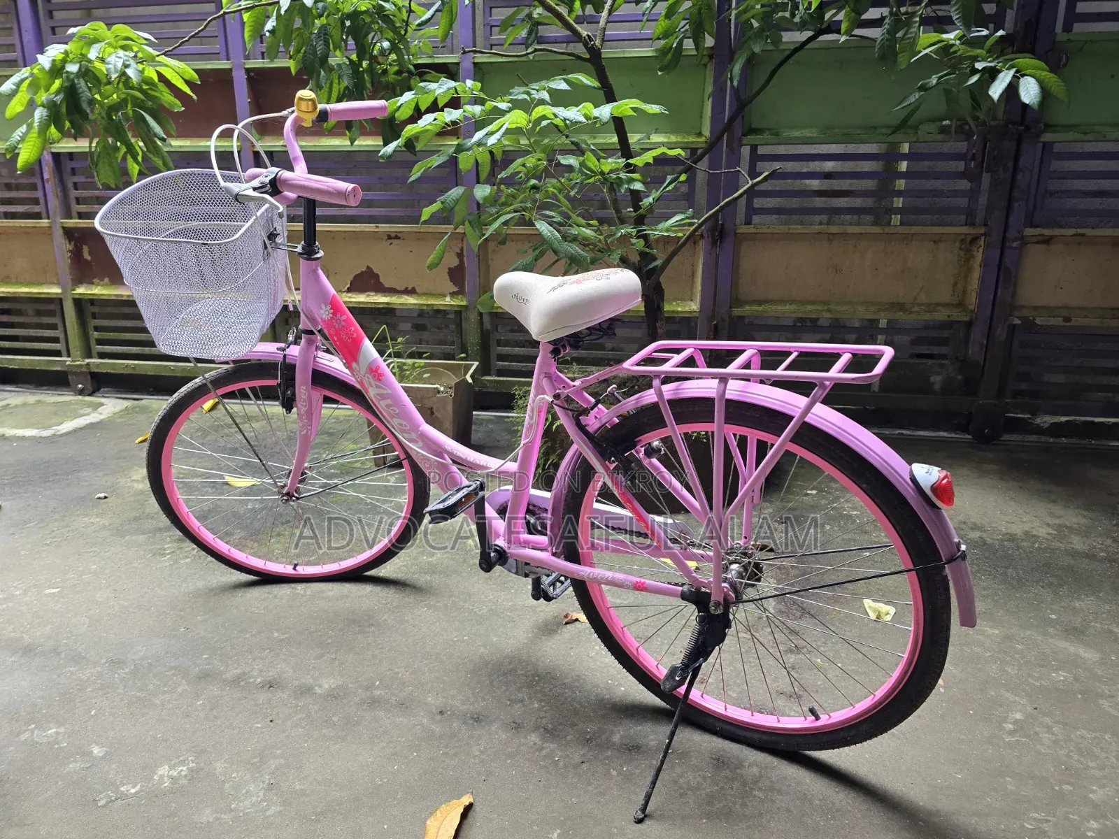 24 Inch Girls Cycle