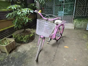 24 Inch Girls Cycle