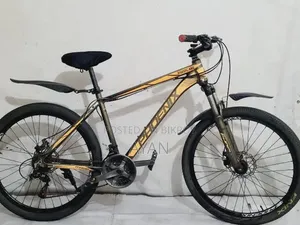 Brand New Phoenix Bicycle ⚡