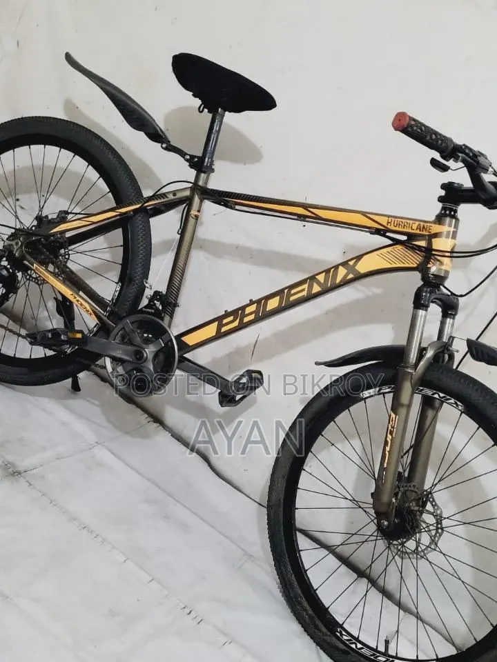 Brand New Phoenix Bicycle ⚡