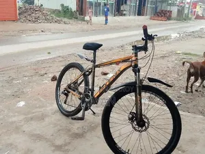 Brand New Phoenix Bicycle ⚡