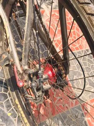 Phoenix Bicycles