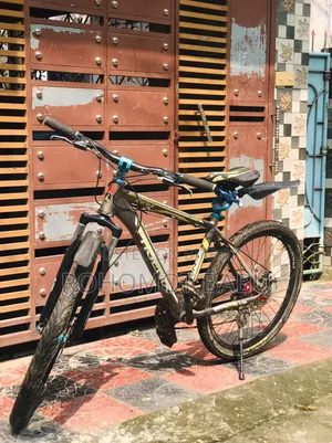 Phoenix Bicycles