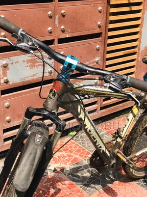 Phoenix Bicycles