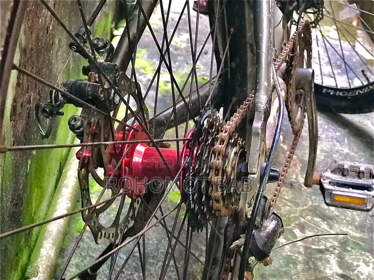 Phoenix Bicycles