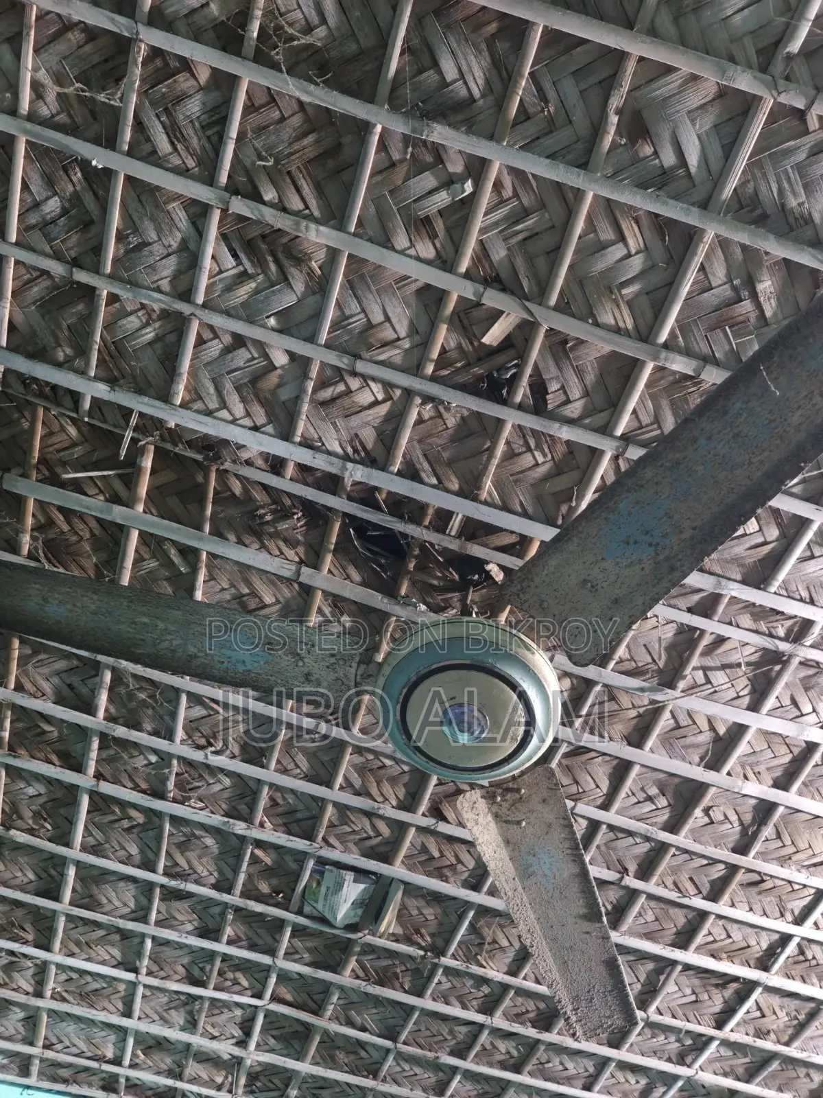Ceiling Fan