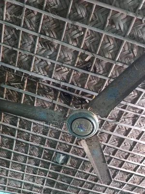 Ceiling Fan