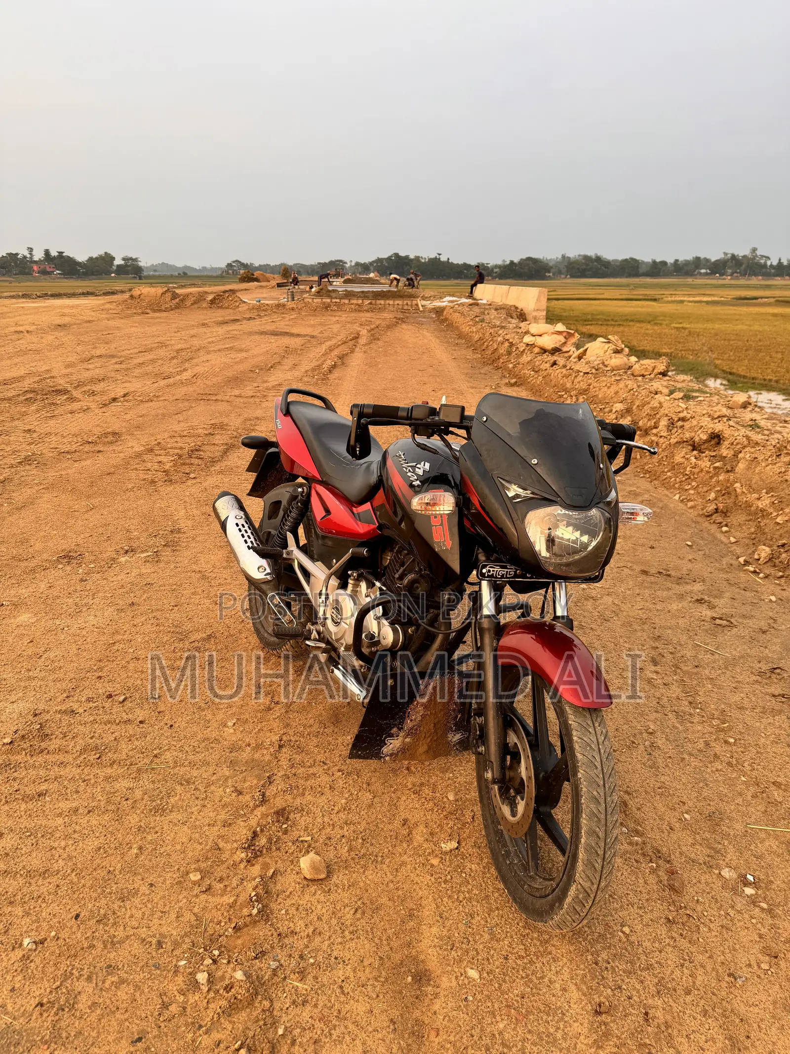 বাজাজ পালসার ১৫০ ২০১৬ রেড
