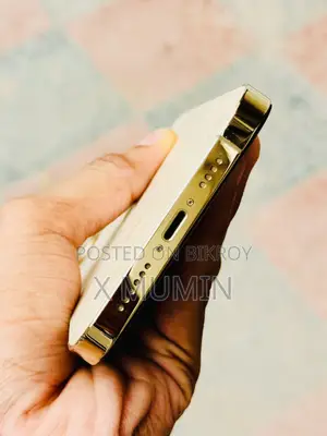 অ্যাপল আইফোন ১২ প্রো ম্যাক্স ২৫৬ জিবি গোল্ড