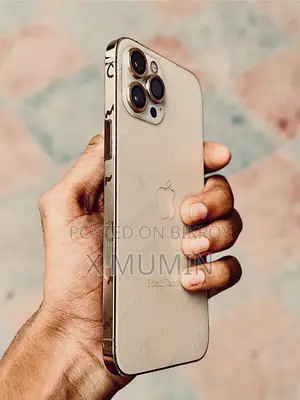 অ্যাপল আইফোন ১২ প্রো ম্যাক্স ২৫৬ জিবি গোল্ড