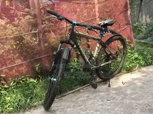 Phoenix Bicycles
