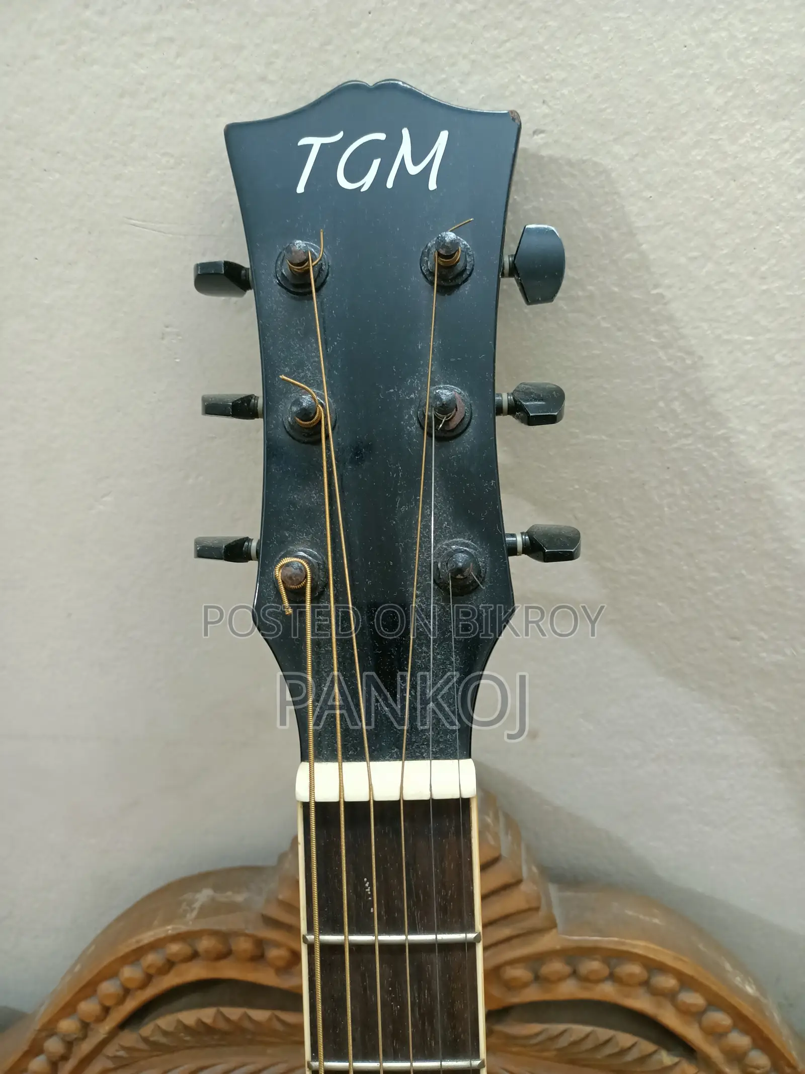 Acoustic Guitar TGM Brand