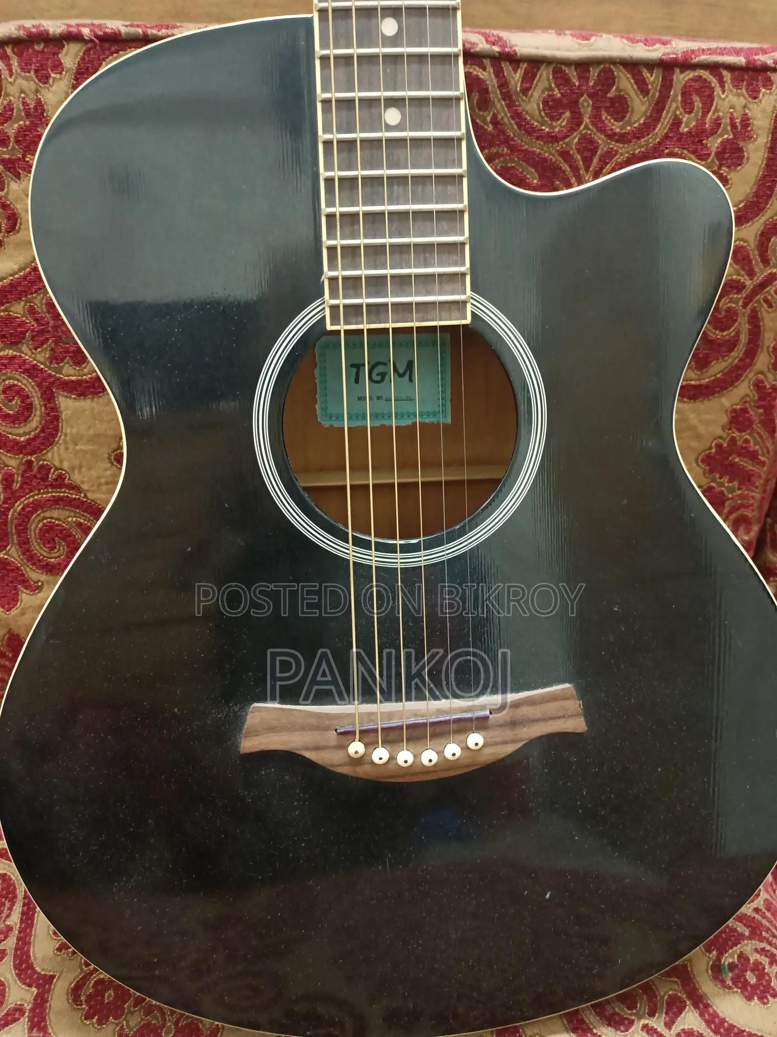 Acoustic Guitar TGM Brand