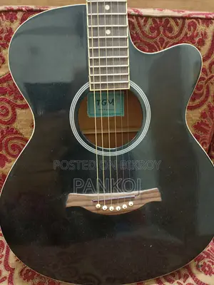 Acoustic Guitar TGM Brand