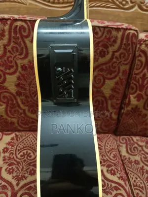 Acoustic Guitar TGM Brand