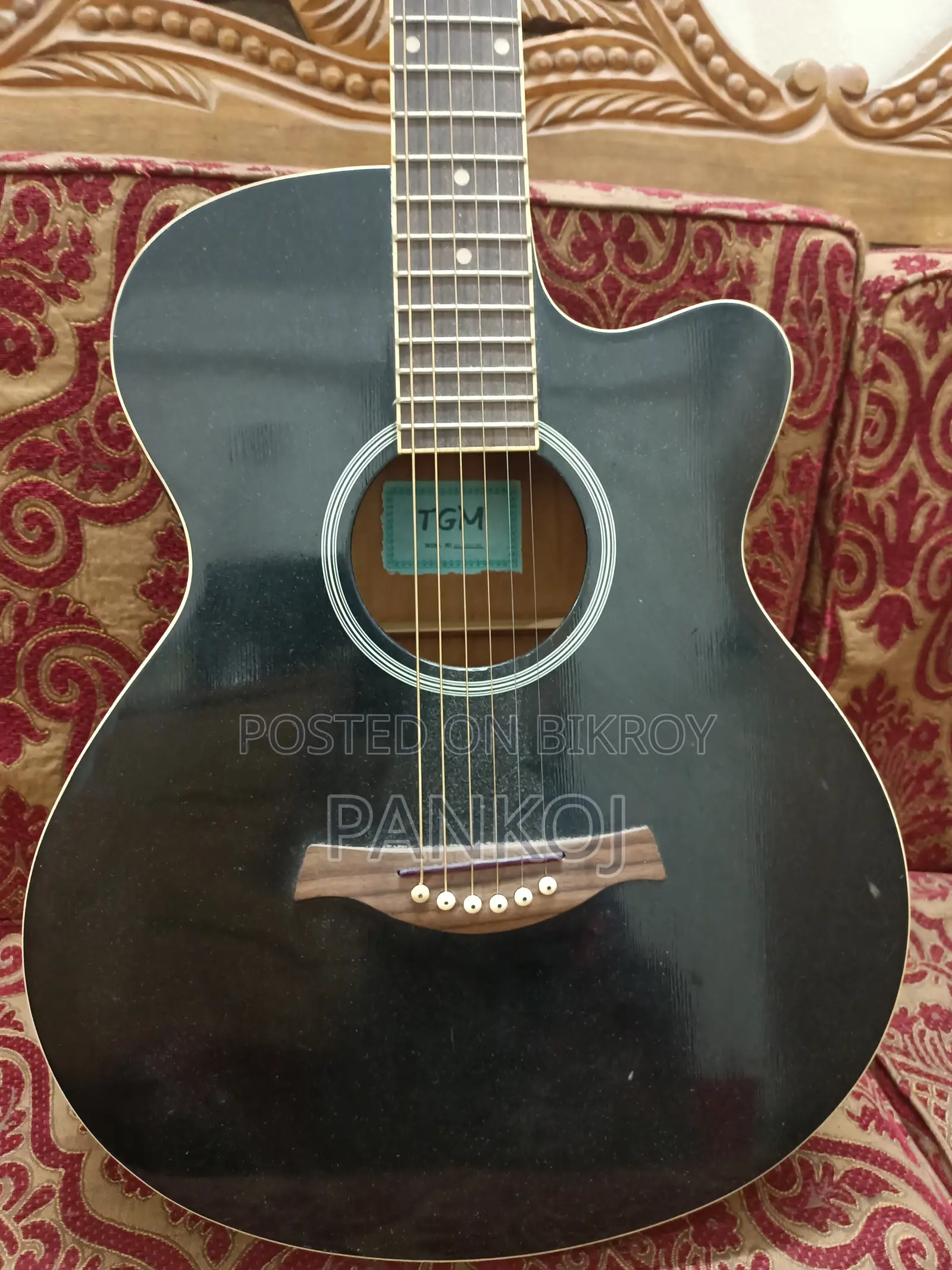 Acoustic Guitar TGM Brand
